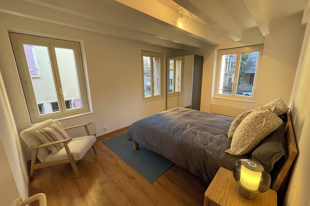 Entire apartment, Beautiful heritage 1 bedroom apartment in Genève, Lake Geneva