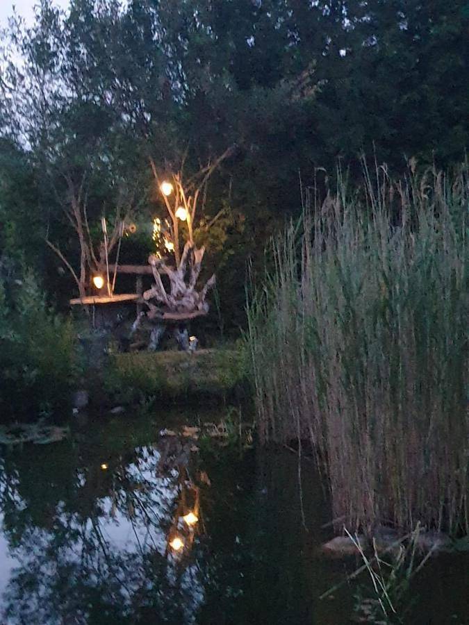 Ferienwohnung für 4 Personen, mit Terrasse und Pool sowie Sauna in Kittendorf