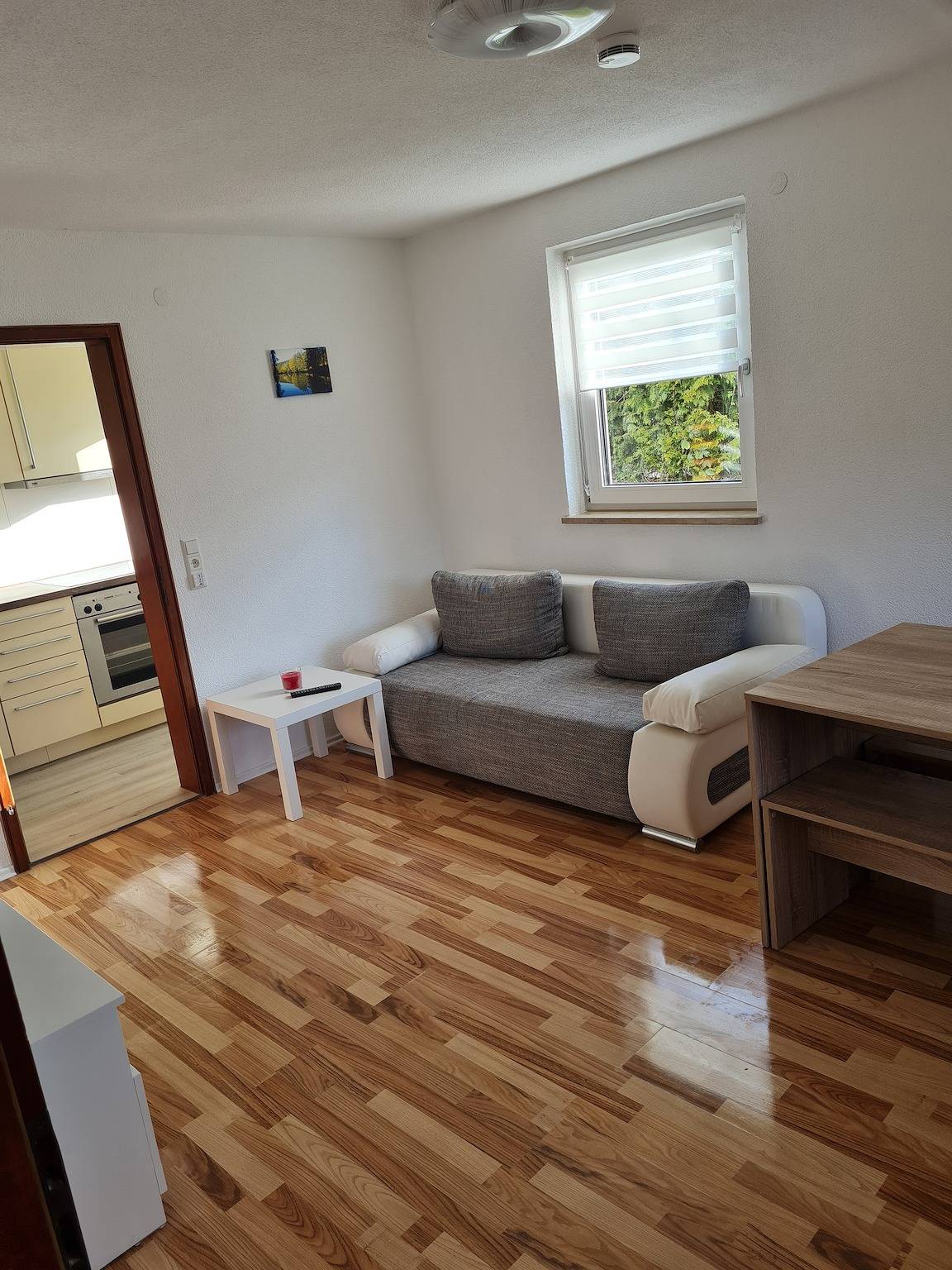 Entire apartment, Dreher Apartment with Shared Garden and Wi-Fi in Aulendorf, Region Bodensee-Oberschwaben