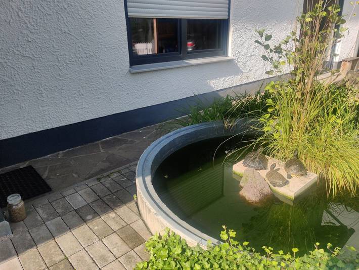 Ganze Ferienwohnung, Ferienwohnung Koch -  Ferienwohnung mit Terrasse in Riedenburg, Altmühltal