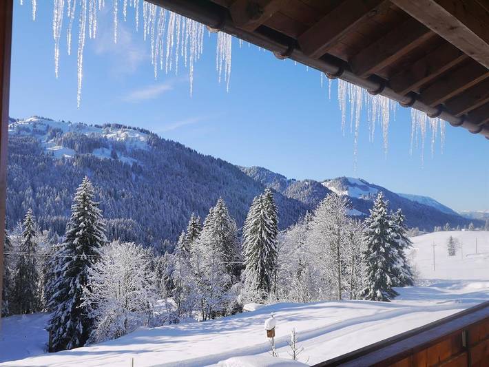 Ferienwohnung für 7 Personen, mit Garten und Balkon, kinderfreundlich im Oberallgäu - 3