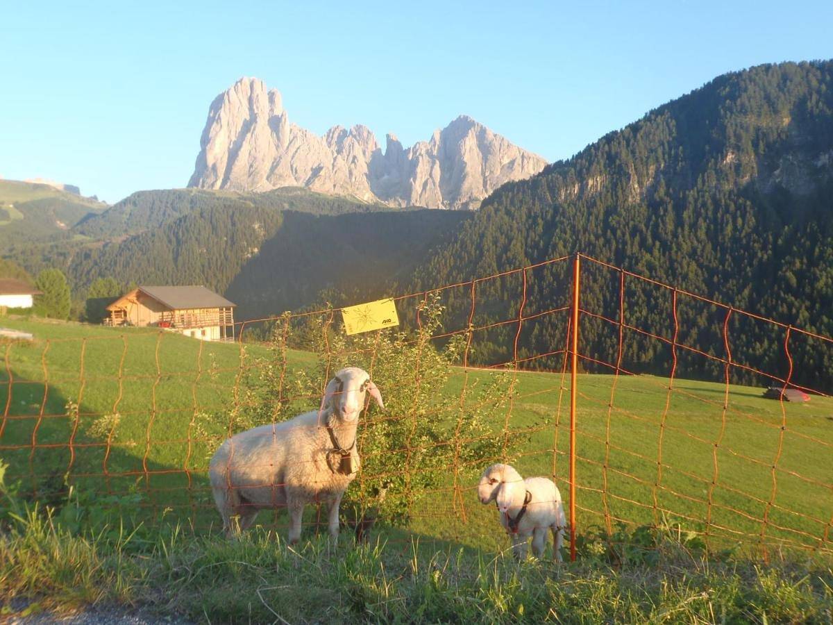 Double Room in San Giacomo (Sankt Ulrich), St. Ulrich in Gröden
