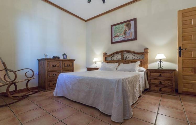 Casa rural para 16 personas, con jacuzzi y jardín en Argamasilla de Alba - 2