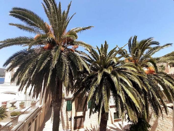Feriehus for 6 personer, med Sjøutsikt i Vis Kroatia