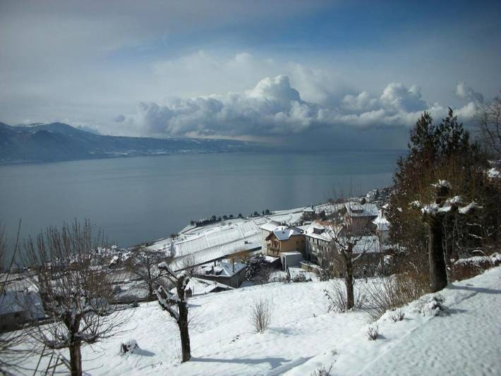 Hôtel pour 2 personnes, avec terrasse ainsi que jardin et vue, animaux acceptés à Chexbres - 4