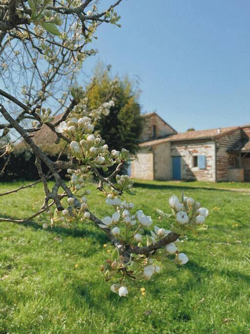 Location de vacances pour 5 personnes, avec vue et terrasse à Saint-Avit-Saint-Nazaire