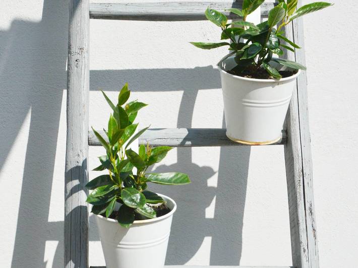 Chalet für 6 Personen, mit Garten und Balkon, kinderfreundlich im Saarland - 2