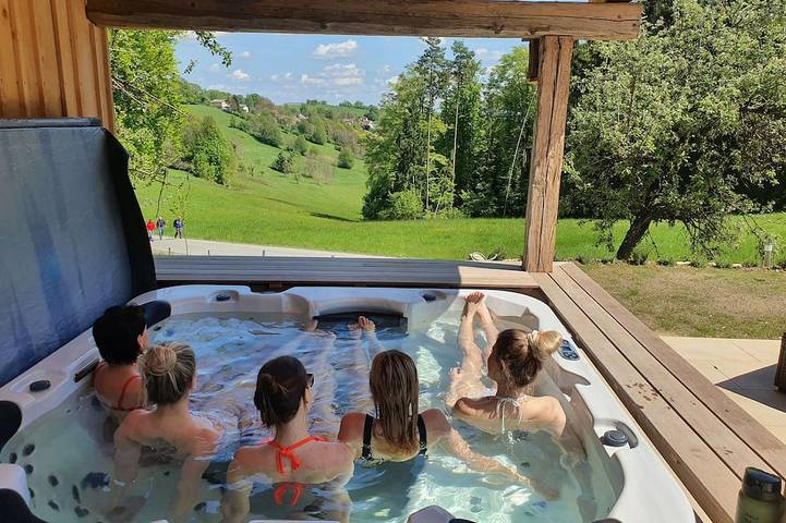 Ganze Wohnung, \"Moritz\" in der Wohlfühloase am Trausdorfberg mit Sauna/Whirlpool in Steirerland