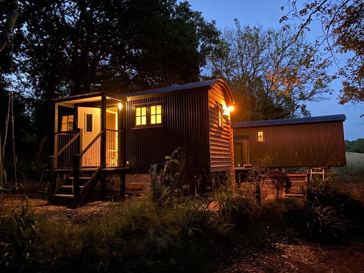Entire apartment, One-Bedroom Apartment in Dorset