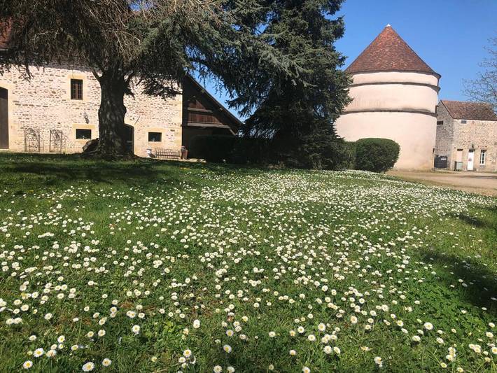 Gîte pour 11 personnes, avec jardin ainsi que piscine et sauna dans Savigny-en-Terre-Plaine
