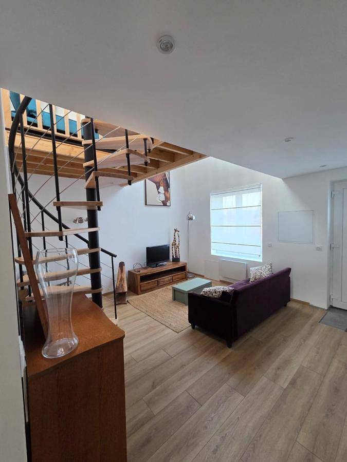 Location de vacances pour 6 personnes, avec jardin et terrasse dans Hasnon - 3