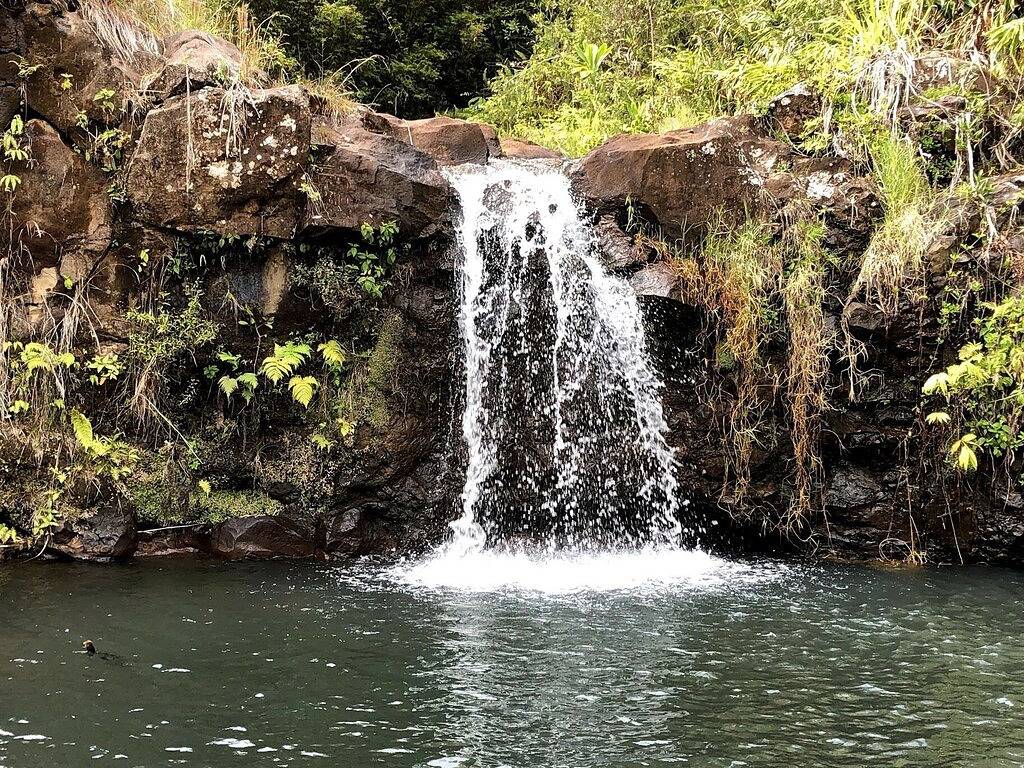 Himmlischer bezaubernder Wasserfall in Hilo in Hamakua