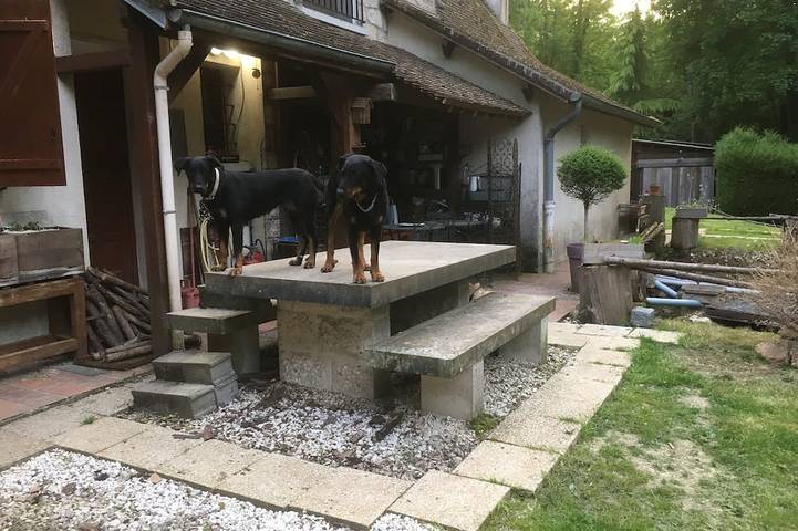 Location de vacances pour 4 personnes, avec jacuzzi ainsi que jardin et sauna à La Celle-sur-Morin - 2