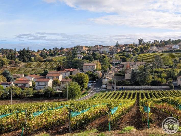 Gîte de Saint Pré in Pommiers, Beaujolais