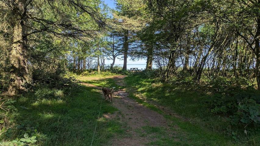 Ferienhaus für 7 Personen, mit Terrasse in Nørhede Vest - 3