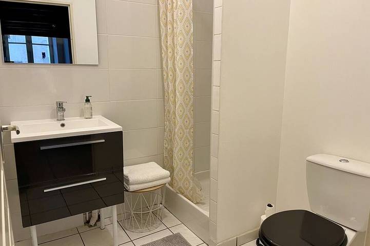 Apartamento entero, Le Cadet Roussel-Apartamento-Club-Baño privado con ducha-Vista a la Ciudad in Auxerre, Auxerre region