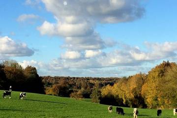 Gîte pour 3 personnes, avec terrasse ainsi que jardin et jacuzzi dans Valorbiquet