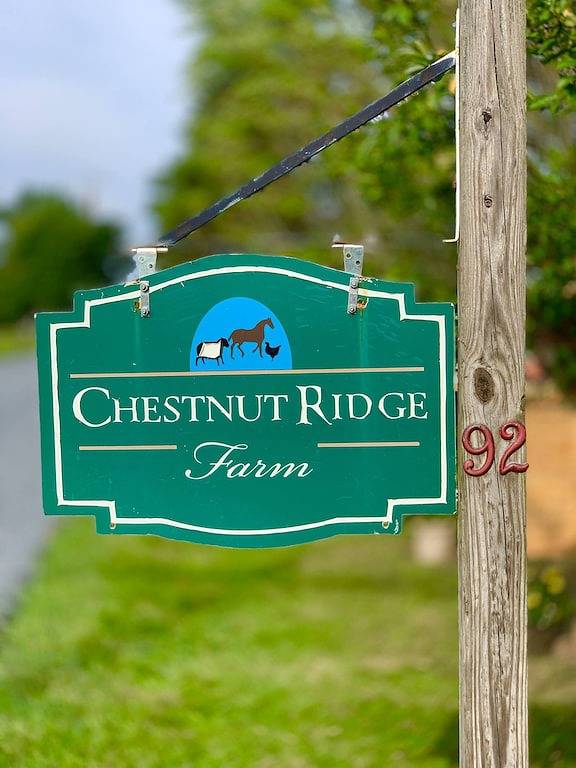 Ganze Wohnung, Charming Farmhouse Apt near Lambertville Princeton in Hunterdon County