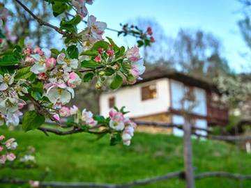 Ferienhaus für 4 Personen in Balkangebirge, Bulgarien, Bild 4