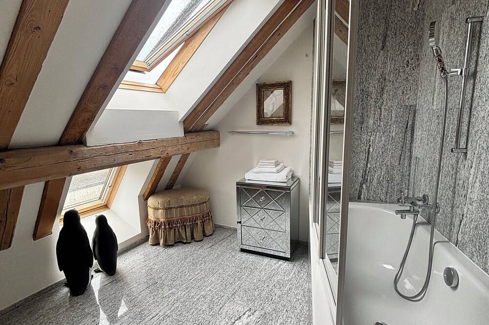 Apartamento entero, Lakeside luxury flat · 2Br · Private lift · 2 Bath · Enge Zürich in Zúrich, Distrito de Zúrich