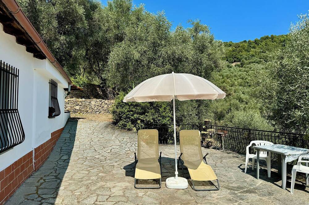 Ruhiges Urlaubsdomizil im Olivenhain in Diano San Pietro, Riviera di Ponente