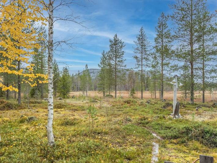 Puukenkä in Lappland