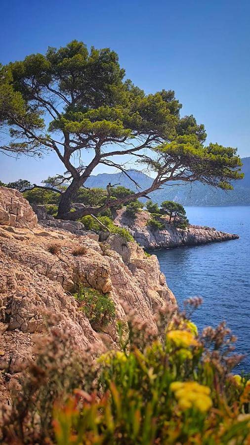 Villa pour 10 personnes, avec Balcon et Terrasse ainsi que Jardin et Piscine à la La Ciotat