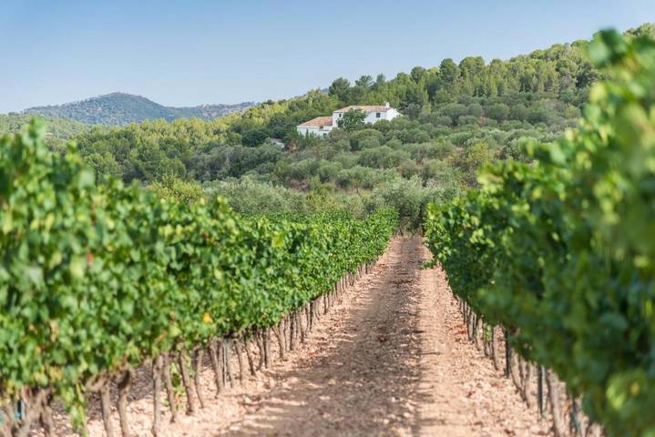 Casa rural para 15 personas, con Balcón y Terraza además de Jardín y Piscina en Anoia (España) - 2