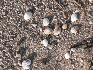 Ferienwohnung für 2 Personen in Tinnum, Sylt (Gemeinde), Bild 4