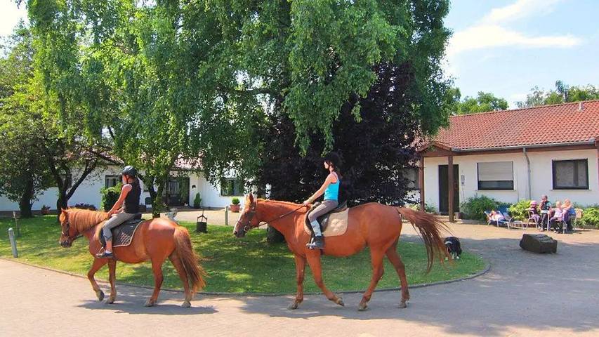 Ferienwohnung für 5 Personen, mit Terrasse und Garten in Merzig - 4