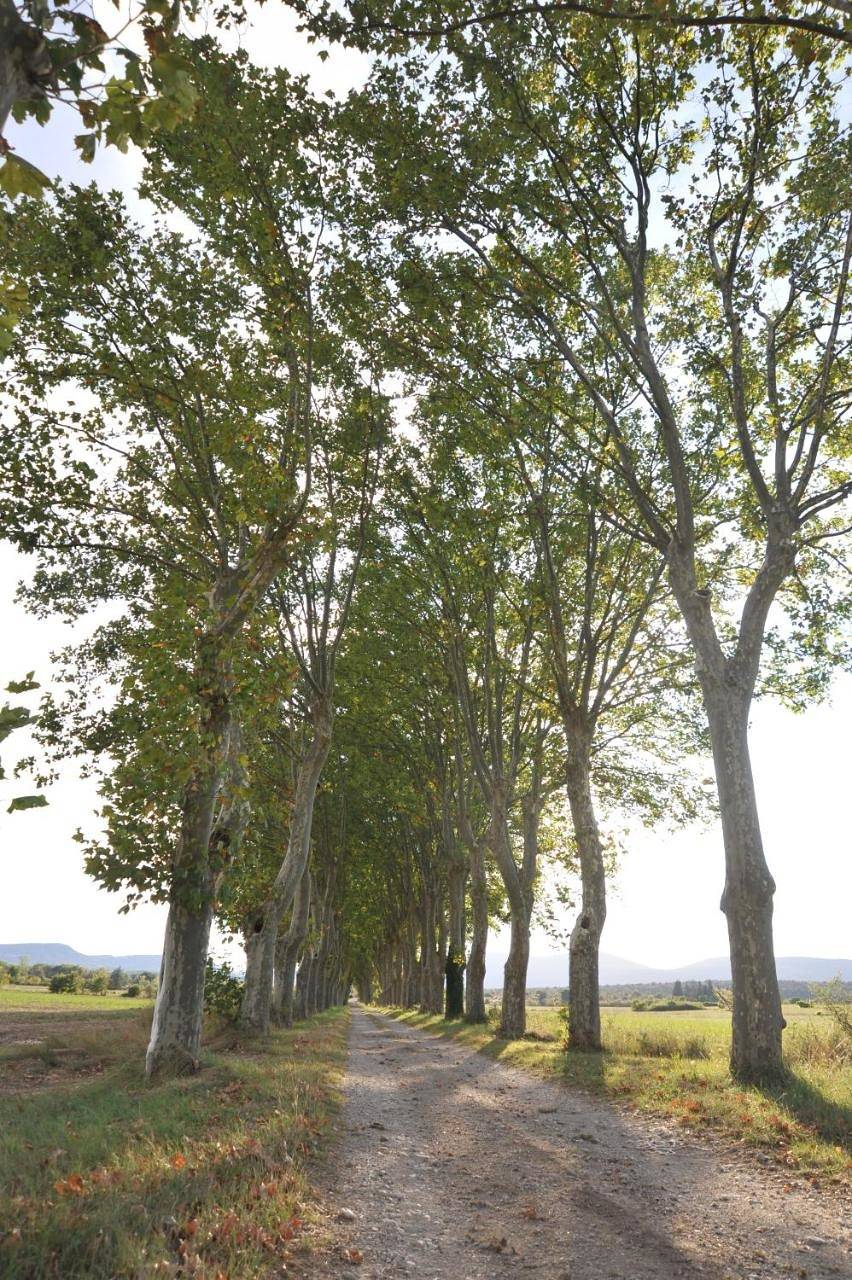 Domaine de Ceyrac in Conqueyrac, Région du Vigan