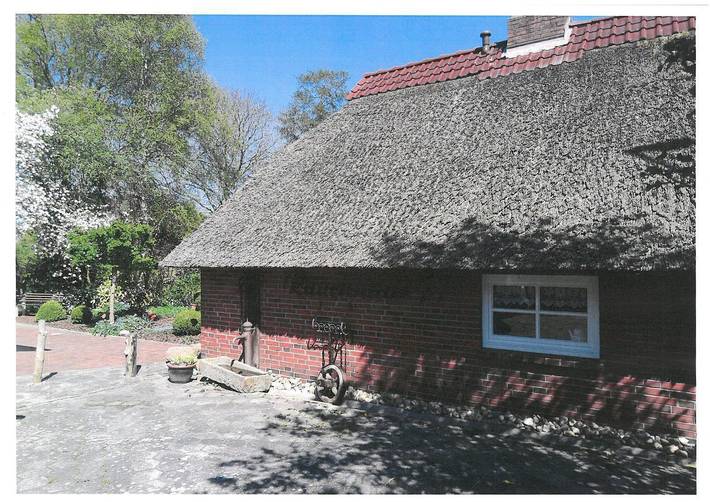 Ferienhaus für 4 Personen, mit Terrasse und Garten in Eckwarden - 4
