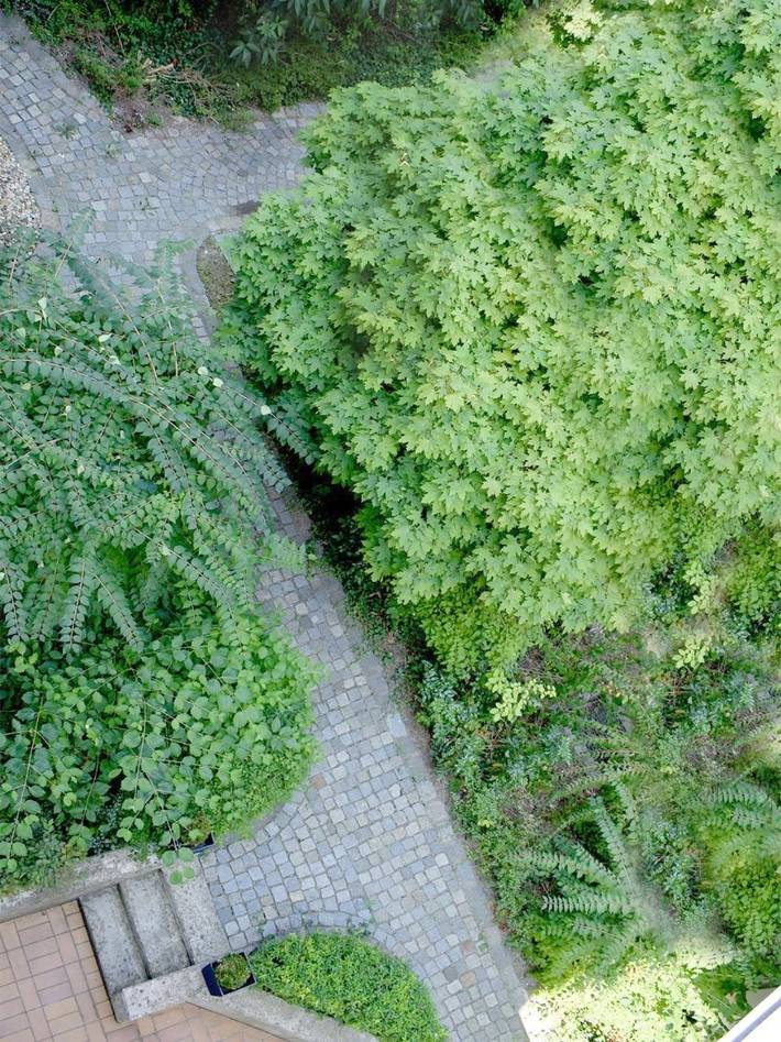 Ferienwohnung für 2 Personen, mit Terrasse und Garten sowie Ausblick in Bogen - 4