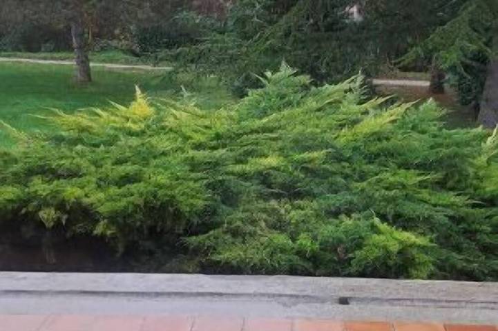 Maison de vacances pour 6 personnes