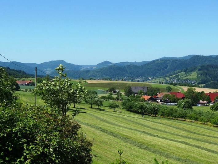 Location de vacances pour 4 personnes, avec balcon à Zell am Harmersbach - 4