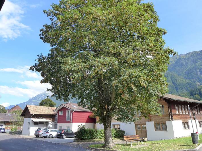 Ferienwohnung für 3 Personen, mit Terrasse in Bönigen
