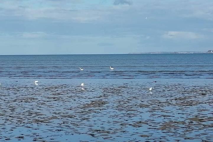 Ferienhaus für 5 Personen, mit Garten - 1