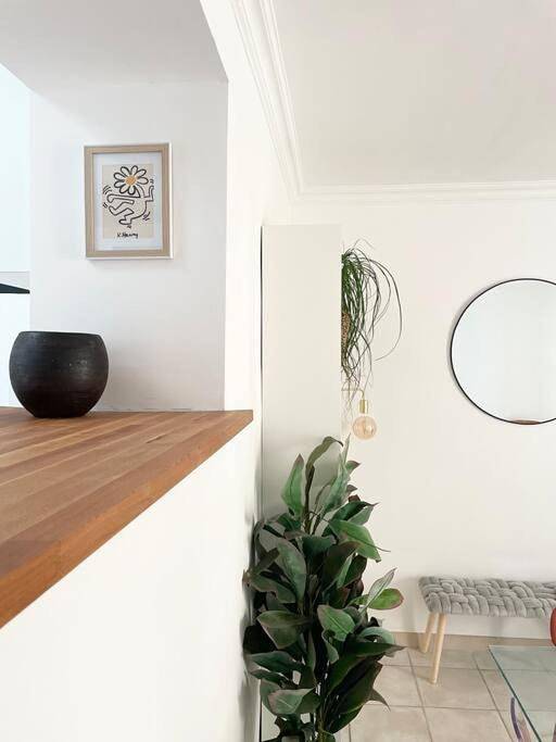 Location de vacances pour 6 personnes, avec terrasse à Saint-André-de-Sangonis - 4