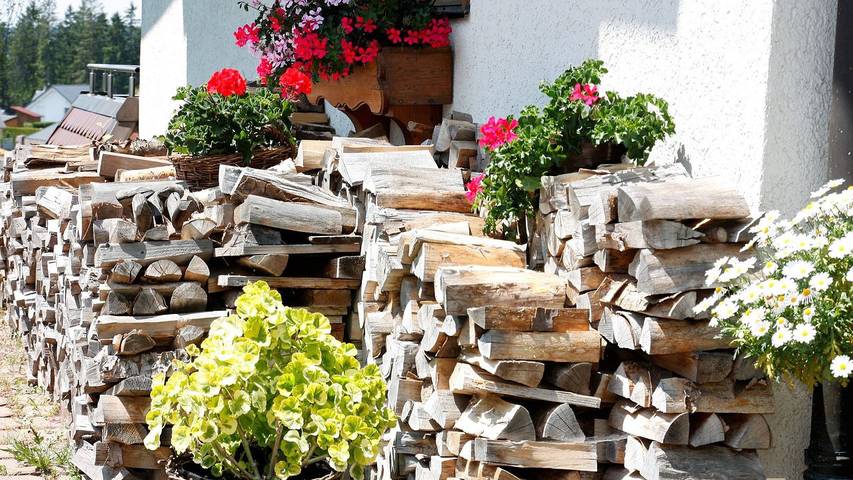 Ferienwohnung für 3 Personen, mit Garten, mit Haustier - 1
