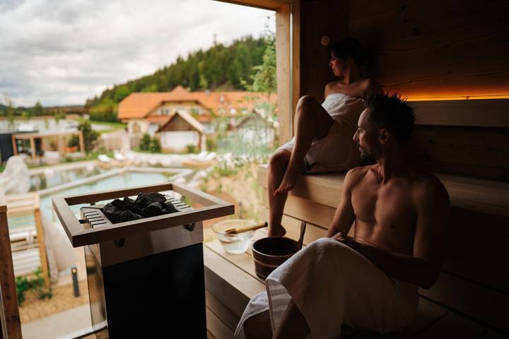 Ferienhaus für 6 Personen, mit Garten und Pool sowie Sauna und Whirlpool, kinderfreundlich in Kärnten - 2