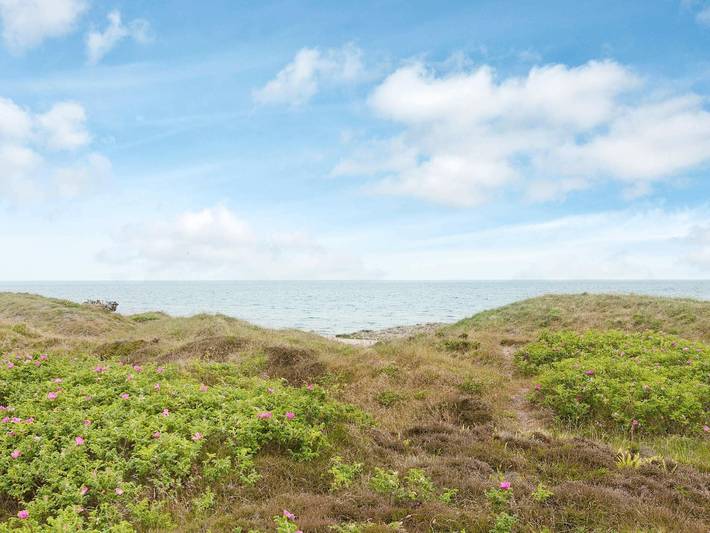 Ferienhaus für 12 Personen, mit Terrasse und Sauna, mit Haustier auf Seeland - 3