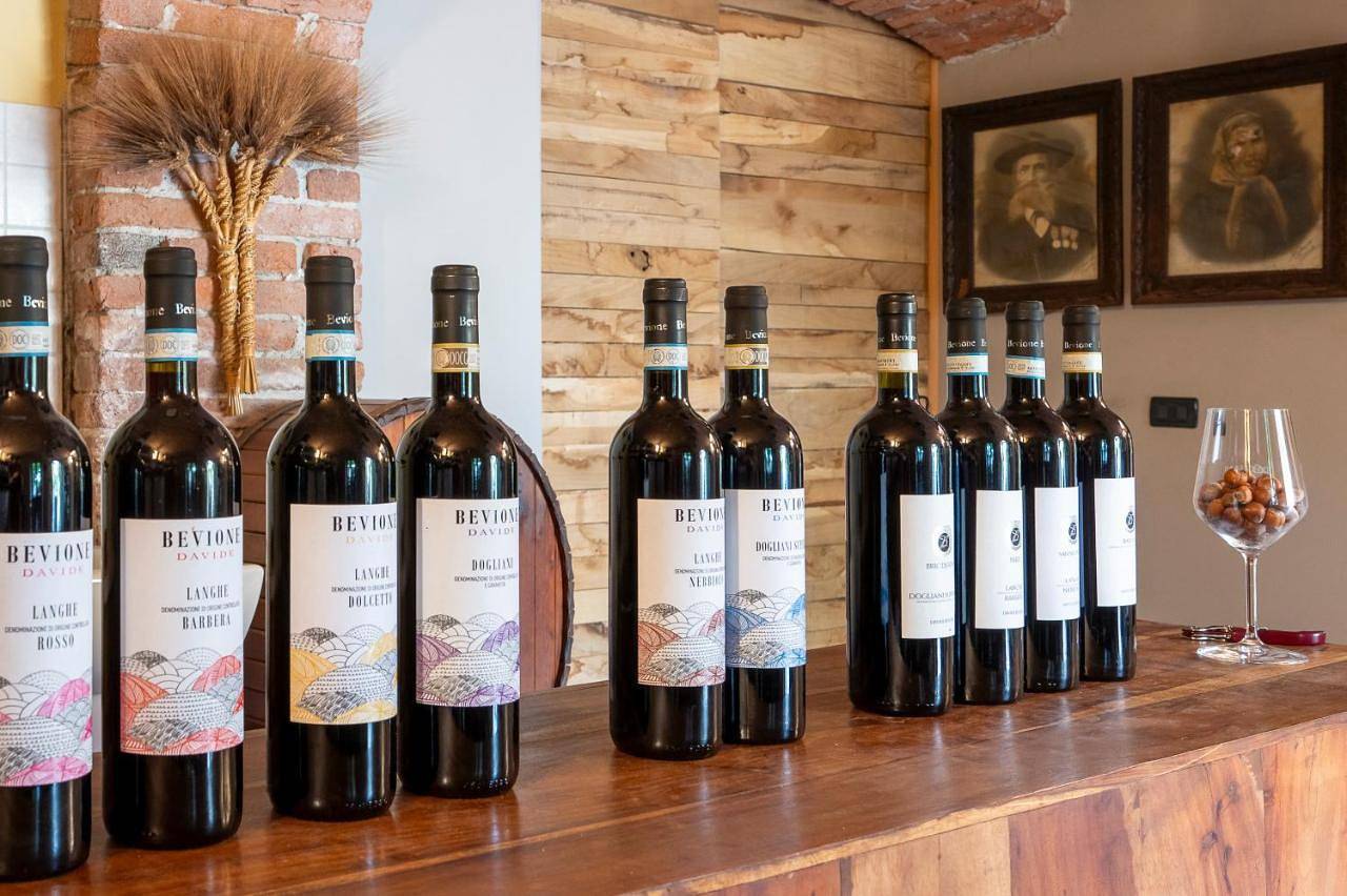 Geheel appartement, Agriturismo Cantine Bevione - Family Apartments with panoramic view in Farigliano, Langhe