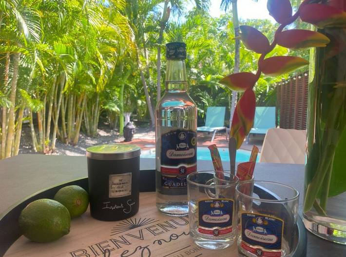 Location de vacances pour 4 personnes, avec piscine ainsi que terrasse et jardin dans Golf international de Saint François - 3