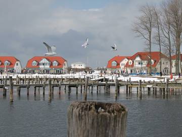 Ferienpark für 3 Personen in Ostseebad Rerik, Rerik, Bild 4