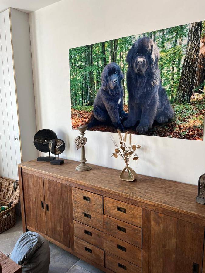 Location de vacances pour 5 personnes, avec jardin et jacuzzi, adapté aux familles à Beernem - 4