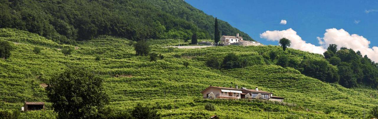 B&b per 2 persone, con Terrazza e Giardino a Valdobbiadene