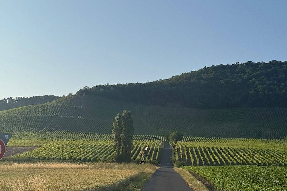 Ganze Wohnung, Horizont 360° in Kitzingen, Fränkisches Weinland