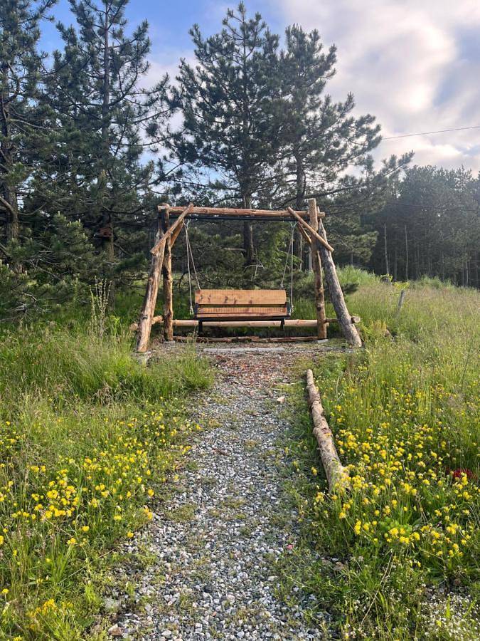Gîte pour 3 personnes, avec terrasse et jardin à Kosjerić - 4