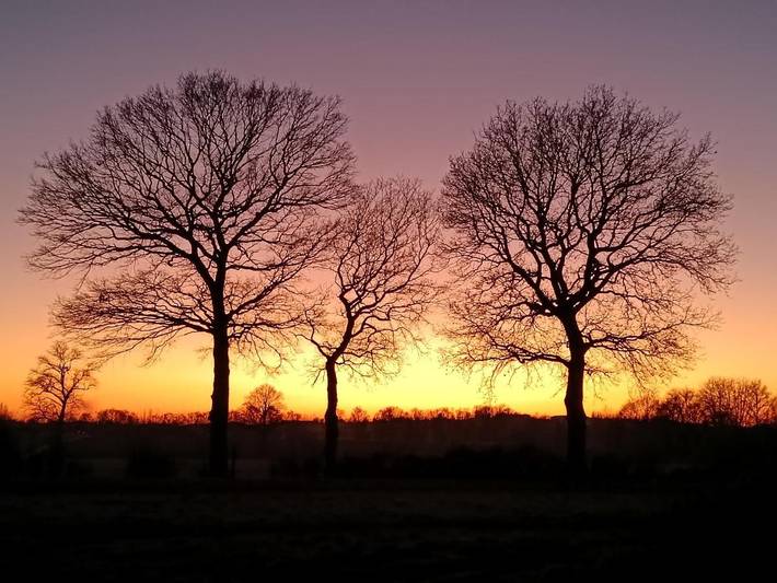 Location de vacances pour 7 personnes, avec jardin et vue, animaux acceptés à Boeschepe - 2