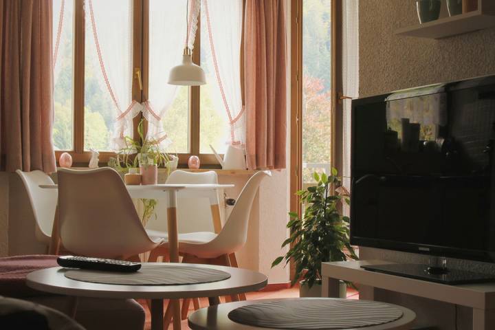 Ferienwohnung für 4 Personen, mit Sauna und Balkon/Terrasse, kinderfreundlich - 1